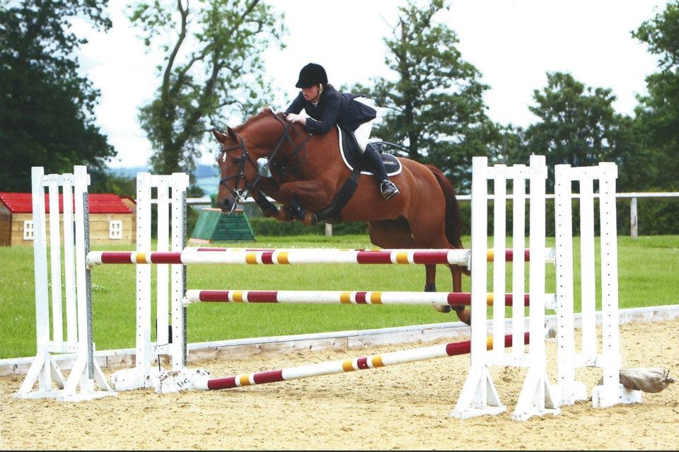 Katie Shaw Showjumper                                                                                                                                                                                                                                          